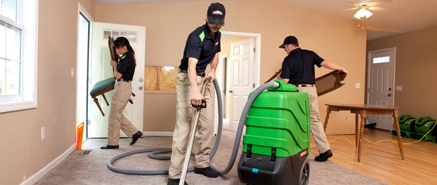 Janesville, WI cleaning services